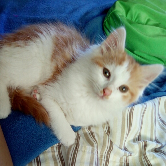 Offers accepted - Picture 1 of 1